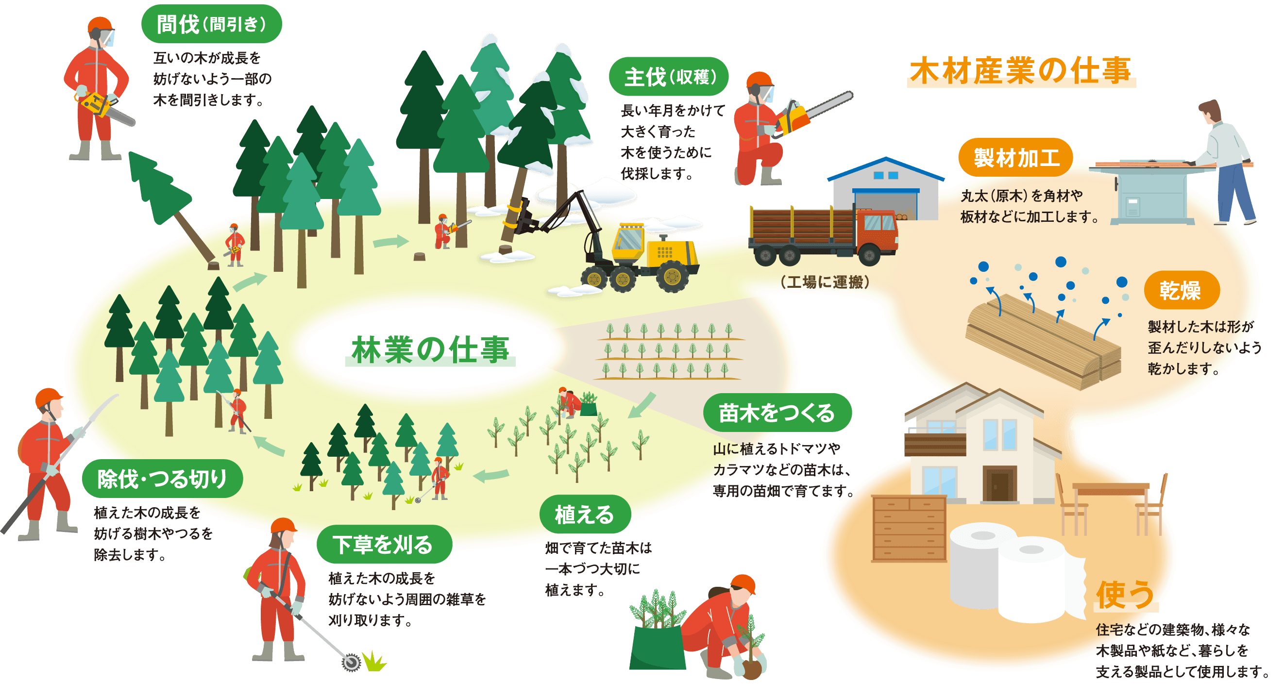 林業・木材産業の仕事