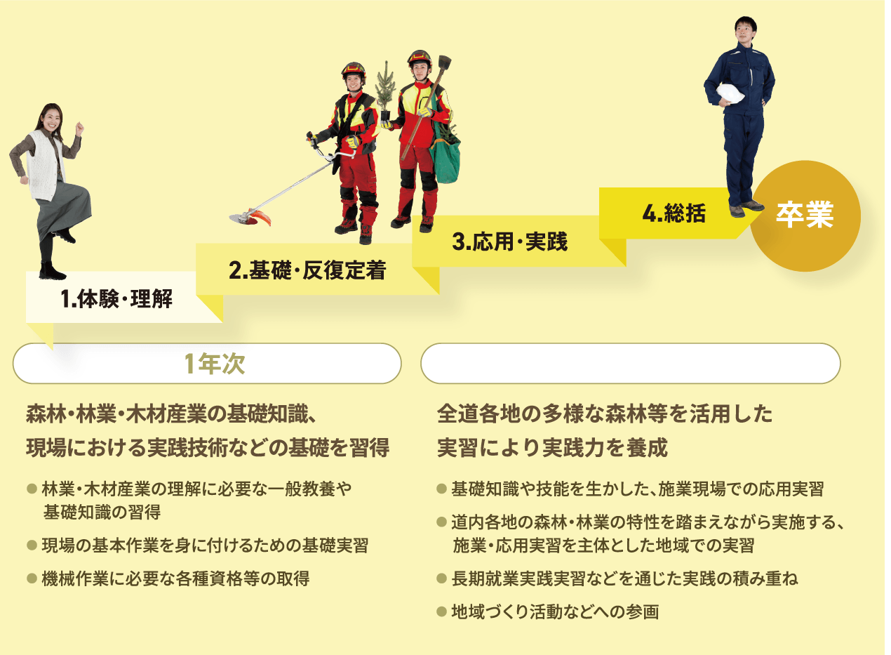 カリキュラムの特徴