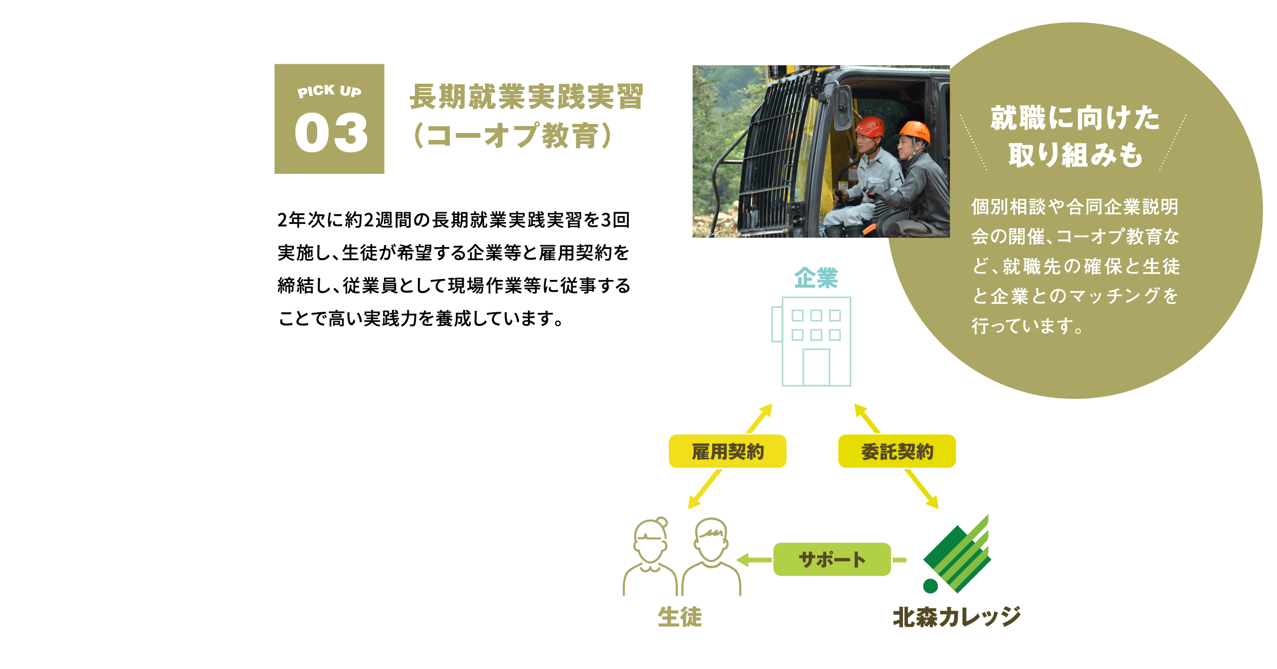 長期就業実践実習(コーオプ教育)